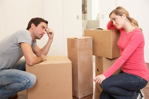 Packing and lifting support for a small flat or office move in Pimlico