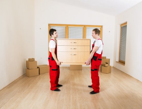 Van service for residential and commercial moves in Pimlico